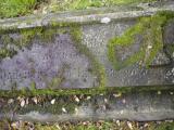 image of grave number 949449